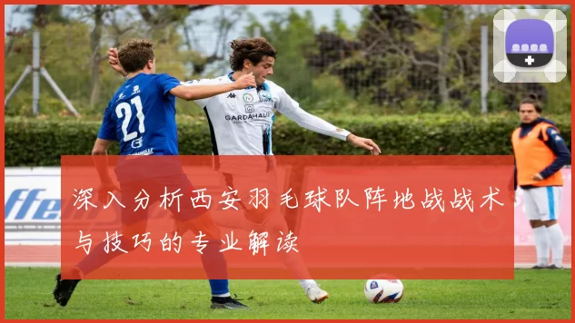 深入分析西安羽毛球队阵地战战术与技巧的专业解读