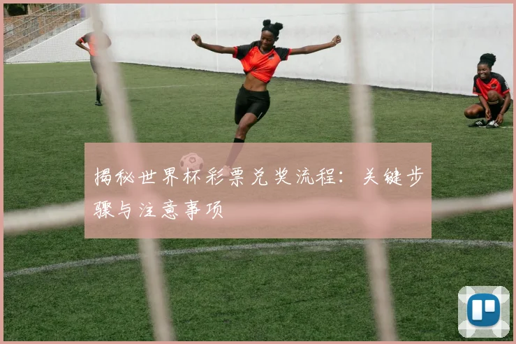 揭秘世界杯彩票兑奖流程：关键步骤与注意事项
