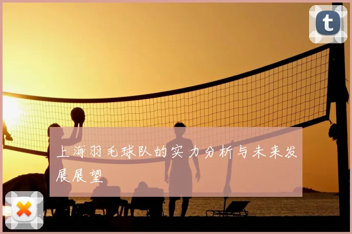 上海羽毛球队的实力分析与未来发展展望