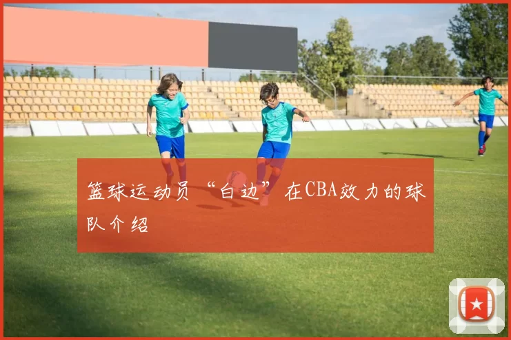 篮球运动员“白边”在CBA效力的球队介绍