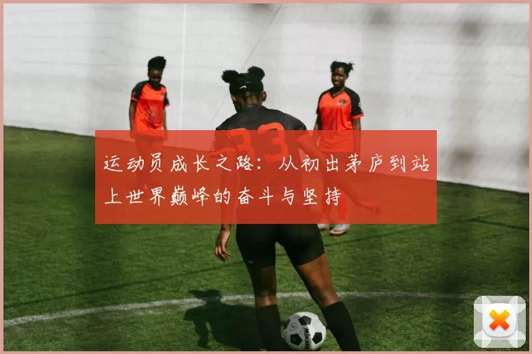 运动员成长之路：从初出茅庐到站上世界巅峰的奋斗与坚持