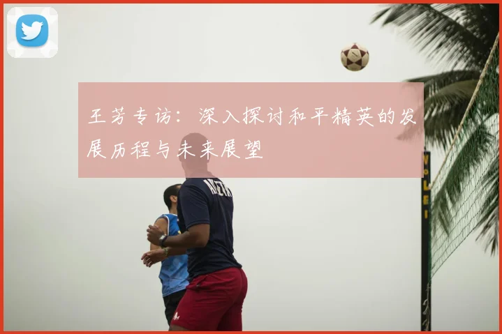 王芳专访：深入探讨和平精英的发展历程与未来展望
