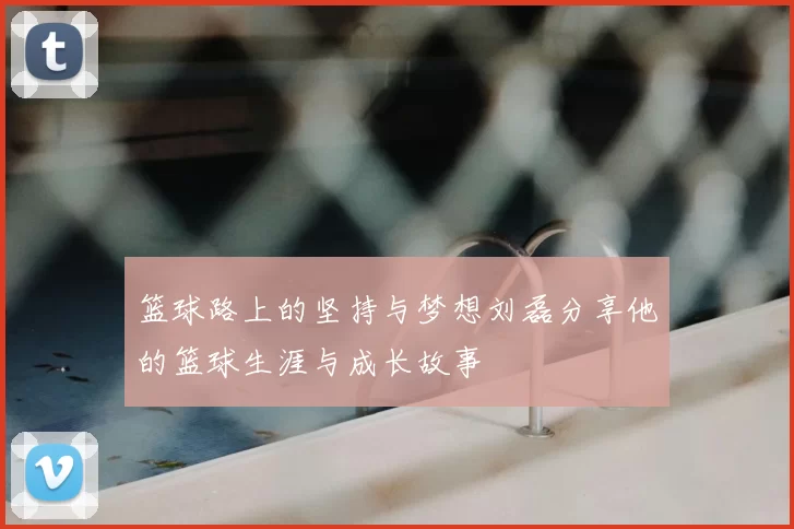 篮球路上的坚持与梦想刘磊分享他的篮球生涯与成长故事