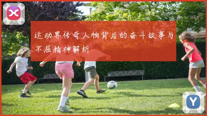 运动界传奇人物背后的奋斗故事与不屈精神解析