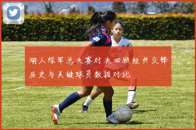 湖人绿军总决赛对决回顾经典交锋历史与关键球员数据对比