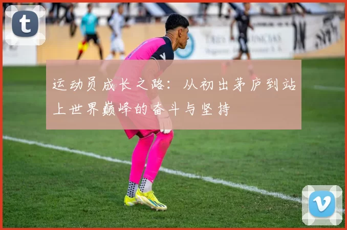运动员成长之路：从初出茅庐到站上世界巅峰的奋斗与坚持