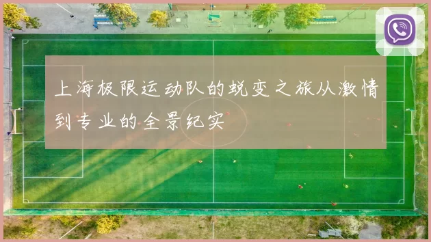 上海极限运动队的蜕变之旅从激情到专业的全景纪实